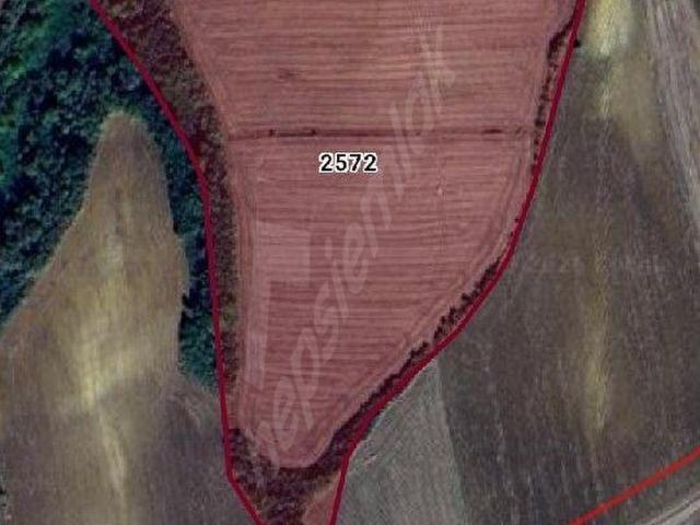 HAYRABOLU KARABÜRÇEK 'DE 25500 M2 ACİL SATILIK KEPİR TARLA