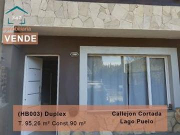 HB003 LAGO PUELO B° Maderera Duplex de estreno