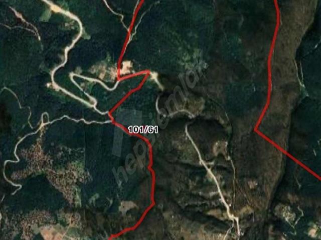 HD'DEN ULUDAĞ KIRAZLI'DA SATILIK TARLA