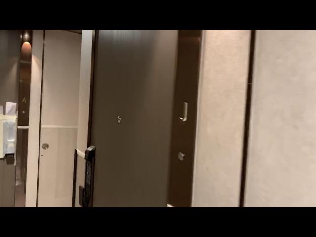 何文田加多利軒