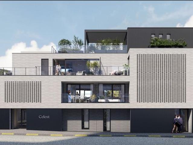 HEMELS WONEN IN TESSENDERLO
