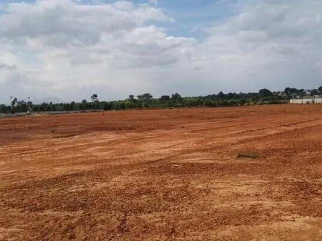 Hemmigepura, West Bangalore Commercial Land 118 Acre in Hemmigepura Bangalore Listing ID: #10055