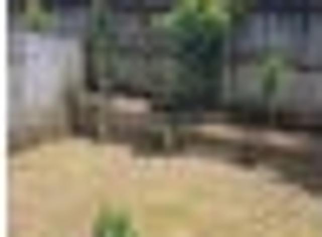 Henderson, 3 bedrooms, $595 pw