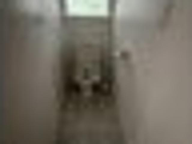 Henderson, 3 bedrooms, $720 pw