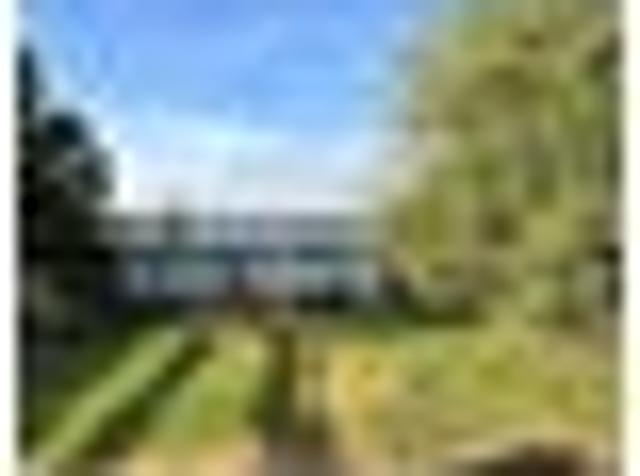 Henderson, Studio, $350 pw