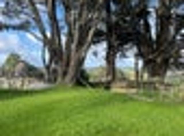 Henderson Valley, 3 bedrooms, $650 pw