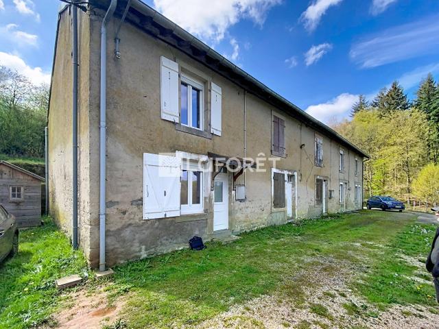 Hennezel Vente Maison 88