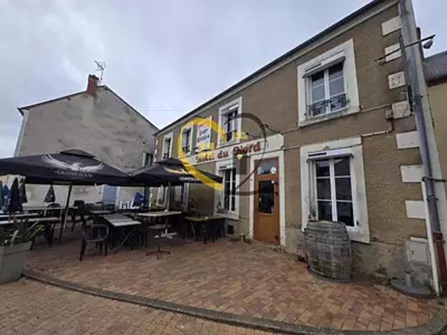 Henrichemont 18250 Achat / Vente maison 10 pièces t10