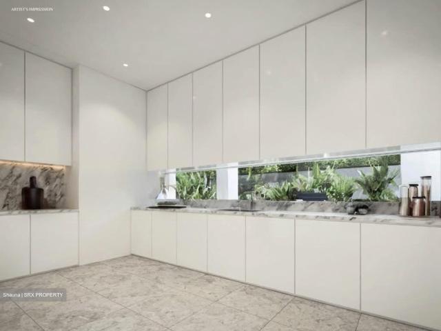 Henry Park D10, Detached