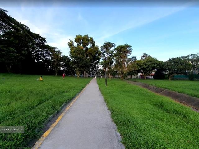 Henry Park D10, Semi