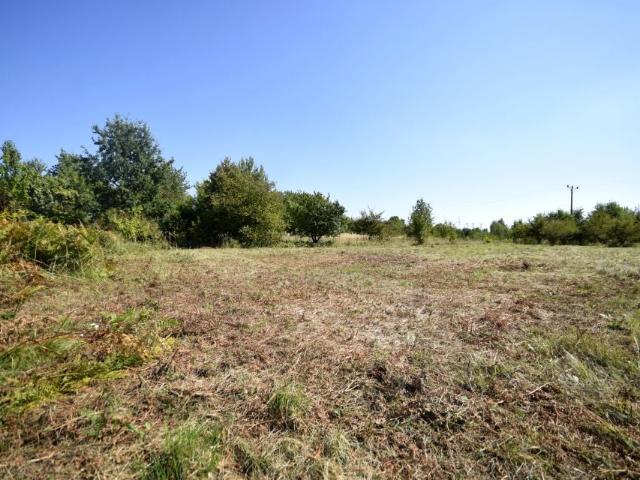 Henryka Wieniawskiego 600 m², Jaworzno
