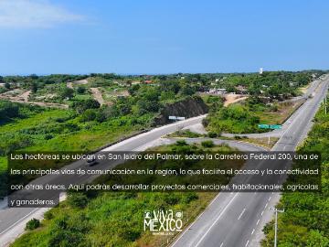 Hect?reas en Venta en San Isidro del Palmar, Tonameca, Oaxaca