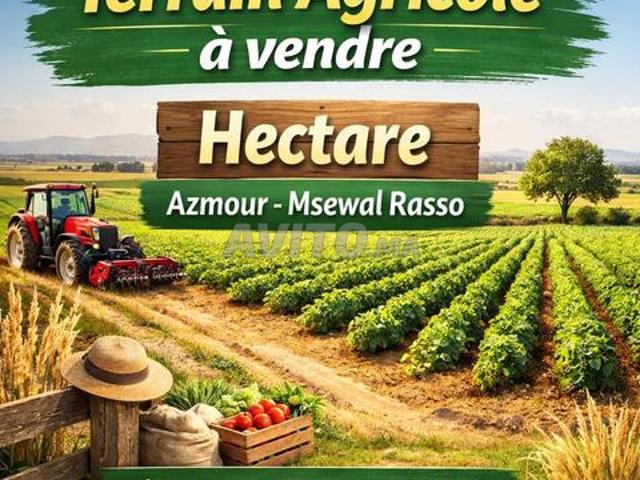 Hectare à vendre Azmour Msewal Rasso