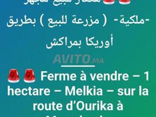 Hectare à vendre équipé