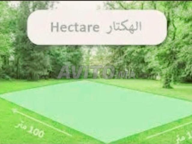 Hectare à vendre près du Palais Royal El Bassatine Mohammedia