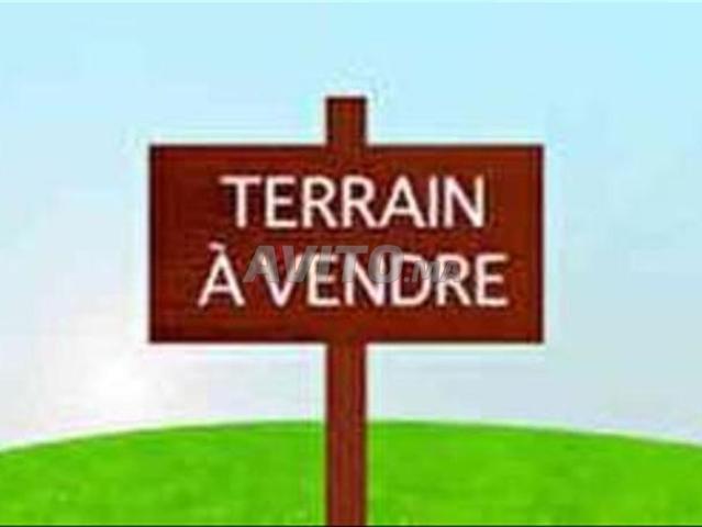 Hectare à vendre Route de Tameslouht