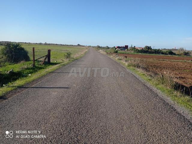 Hectare à vendre sur goudron près de Tétir