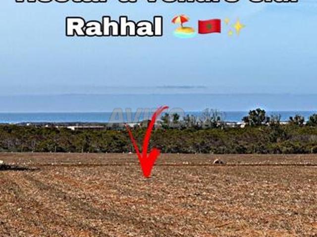 Hectare à vendre titré Sidi Rahhal