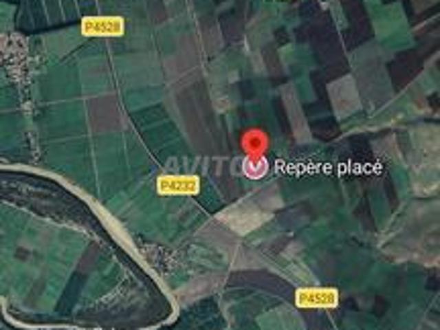 Hectare agricole à 5 km de Belqseri