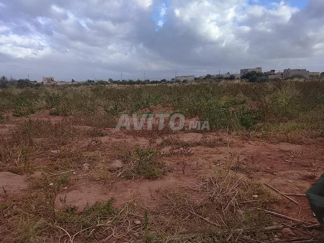 Hectare et demi à vendre avec un puits, terrain enregistré
