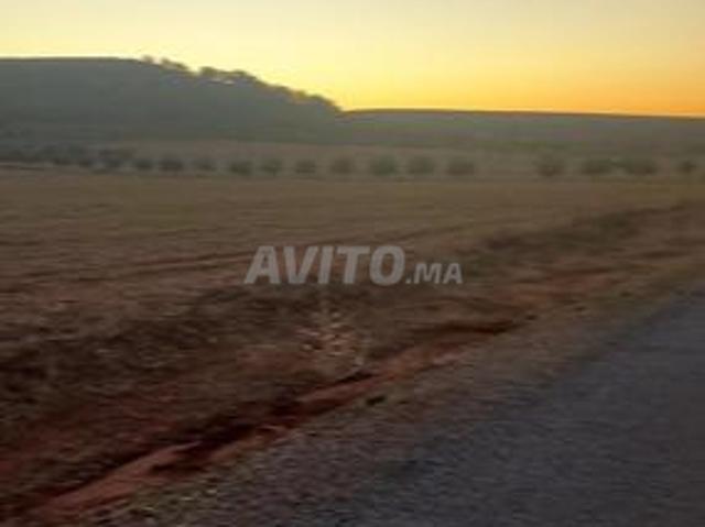 Hectare et demi sur goudron titré entièrement à 47 millions