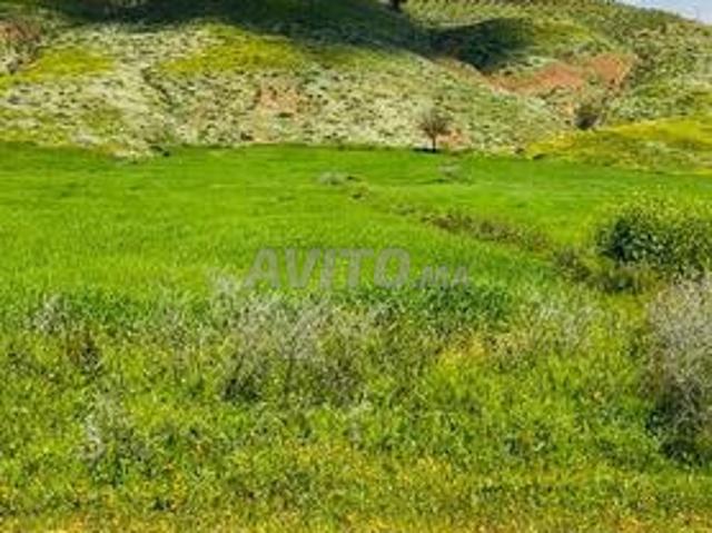 Hectare et demi sur route à 48 millions, bonne affaire