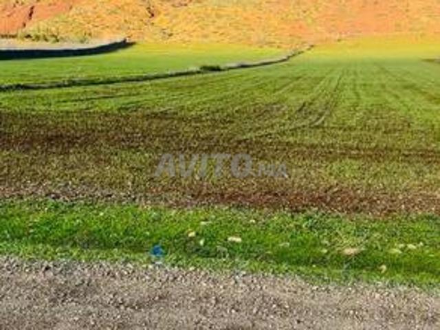 Hectare et demi protégé sur une excellente route