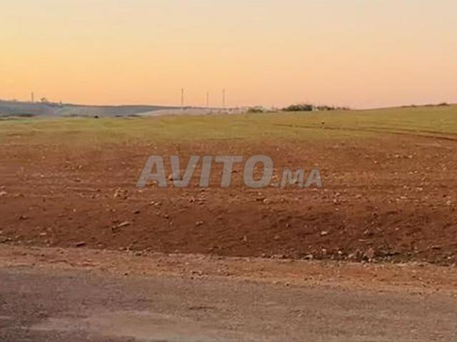 Hectare et deux mille mètres, titrée, Koudron