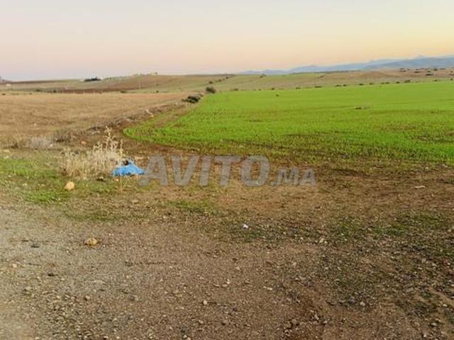 Hectare et deux mille mètres titrés à Koudron Hamza Tiflet
