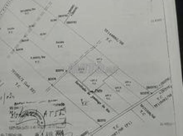 Hectare planté à vendre Sidi Rahal Plage
