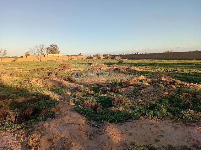 Hectare prêt