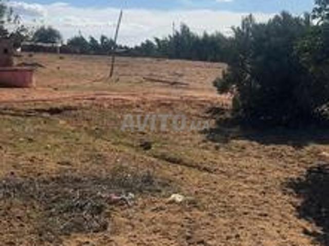 Hectare titré avec puits et maison près de Maqam Tolba