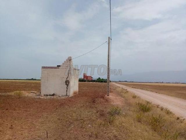 Hectare titré double façade près de Kasbah Tadla équipé d'électricité