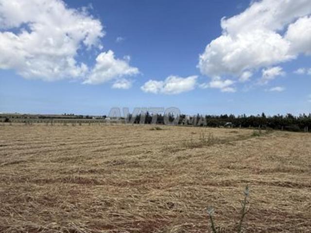 Hectare titré emplacement extraordinaire