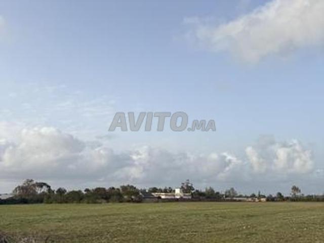 Hectare titré emplacement sur goudron et mer