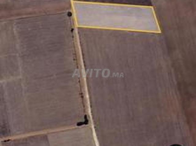 Hectare Titre Foncier