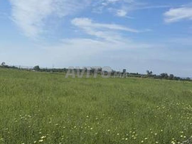 Hectare titré vue panoramique sur mer