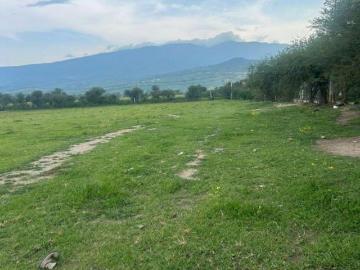 Hectárea Tlajomulco de Zúñiga