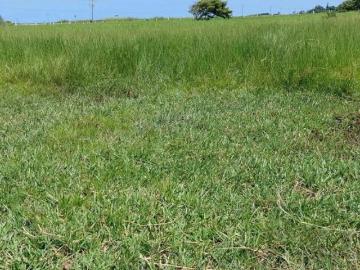 Hectáreas de terrenos en Venta, ubicadas frente a la gasolinera El Bayo, adelante de La Piedra