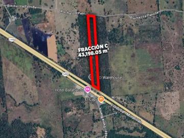 HECTÁREAS EN VENTA CARRETERA LA TINAJA SAYULA | ARLETTE FLORES