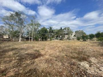 Hectáreas en venta en Ebtun, Yucatán
