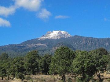 HECTAREAS EN VENTA EN EL MUNICIPIO DE ALTZAYANCA, TLAXCALA