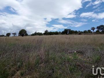HECTAREAS EN VENTA EN EL MUNICIPIO DE ALTZAYANCA, TLAXCALA