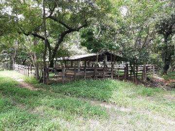 HECTAREAS EN VENTA EN LA GARZA