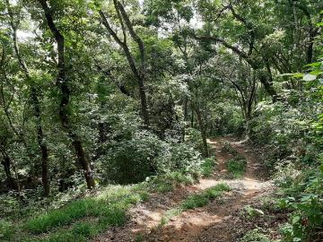 HECTAREAS EN VENTA EN LA GARZA