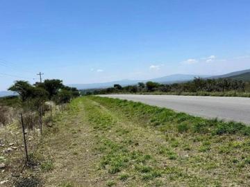 HECTAREAS EN VENTA EN SAN JOAQUIN HIDALGO