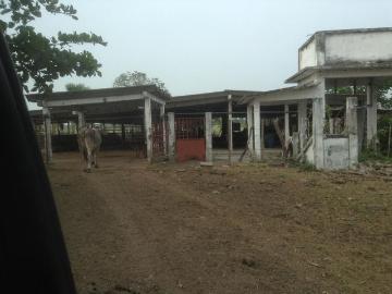 Hectareas en Venta en Veracruz a 5 Min de Jamapa Zacatal Medellin de Bravo