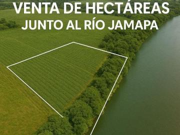 Hectáreas en venta junto al río, listas para desarrollo o uso comercial!