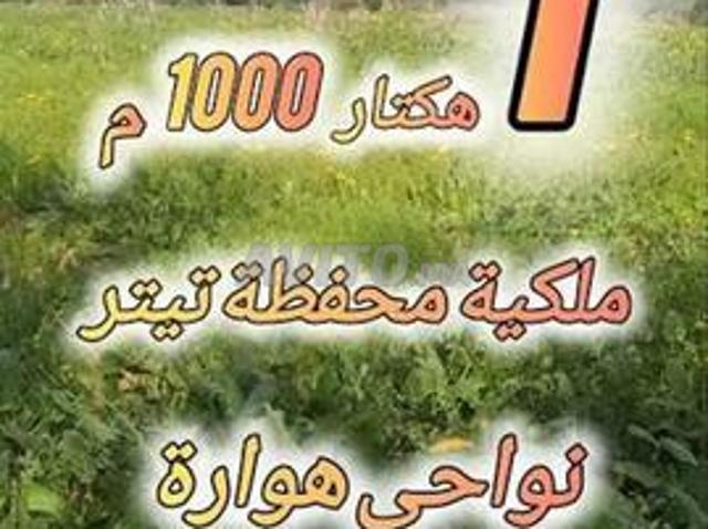 Hectares Agadir à vendre titre