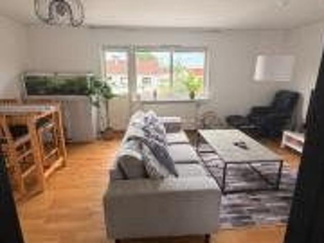 Hedvigsborgsgatan, Borås